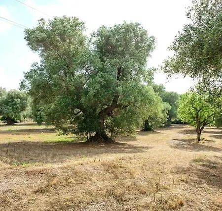 Atrullo